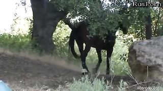 Мужик жестко трахает маленькую лилипутку в рабочий ротик и волосатую пизденку