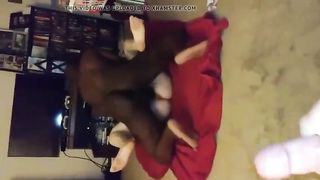 Чёрные яйца плещут по промежности белой сексвайф