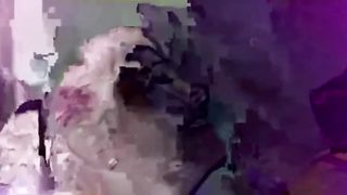 Весёлую сексвайф на два члена натягивают