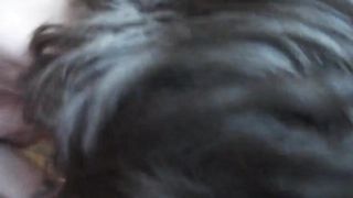 дворник Светланка