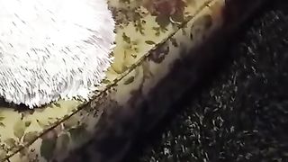 Дрочка члена на спящую сестру