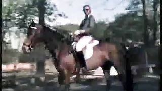 Скромные попутчицы ласкают стоячий член